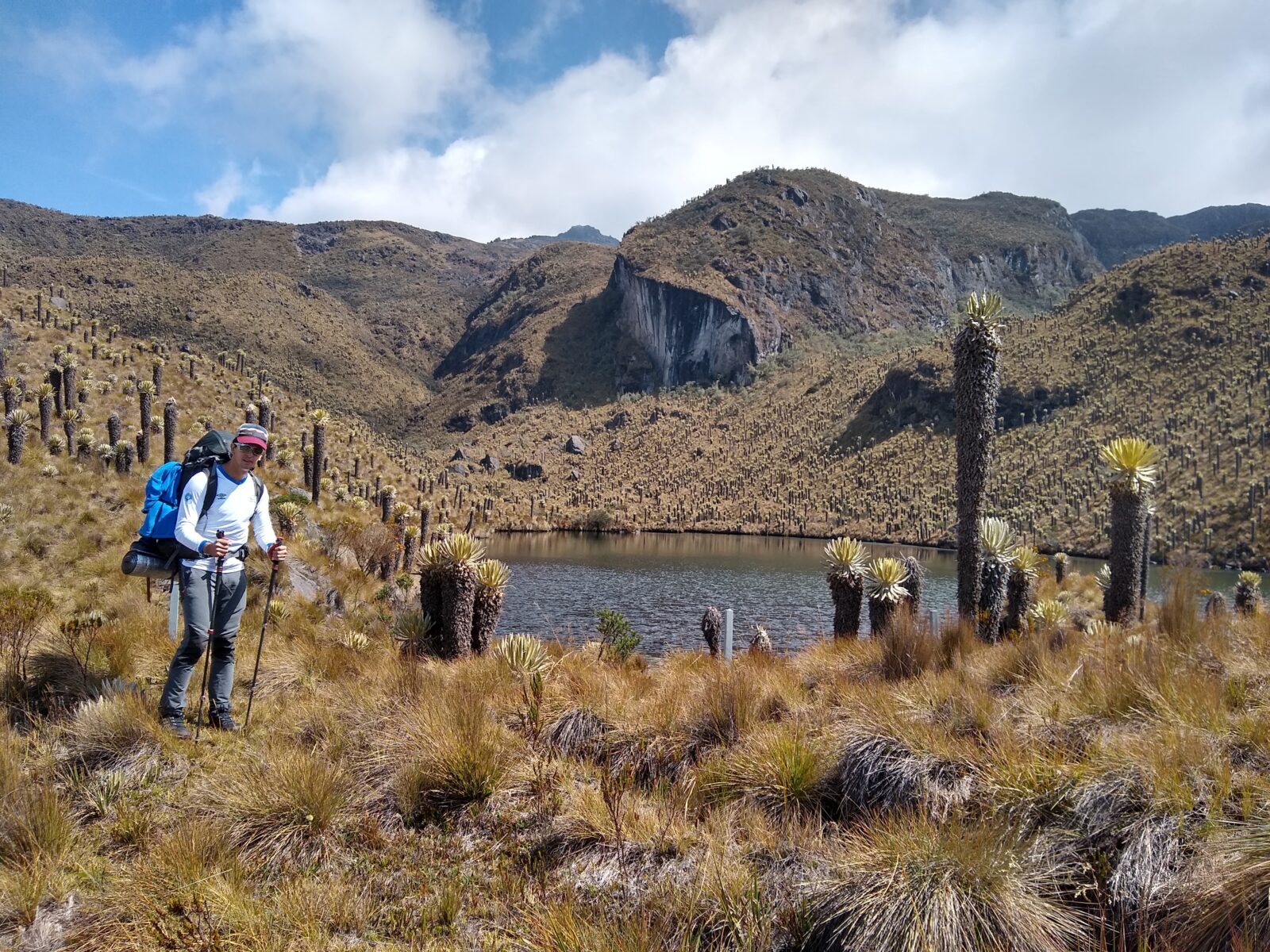 Caminante en páramo con laguna y frailejones en el Parque Nacional Natural Los Nevados