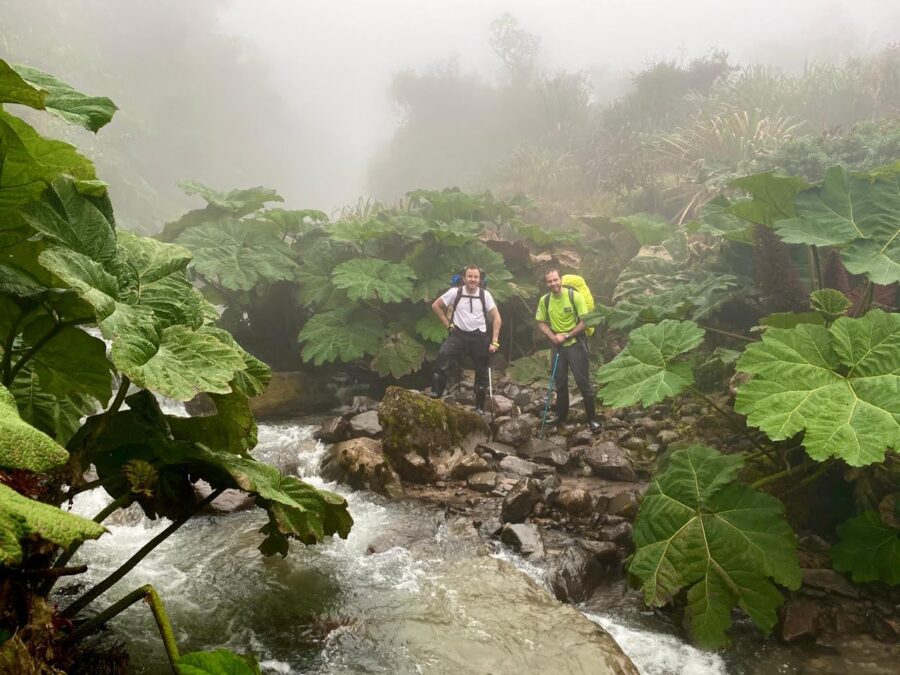 Caminantes en bosque alto andino durante la Vuelta Potosí Otún en Los Nevados